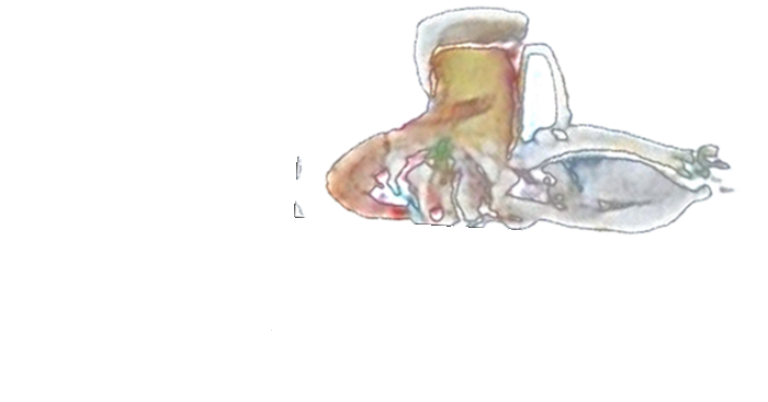 Bar Cano Benito